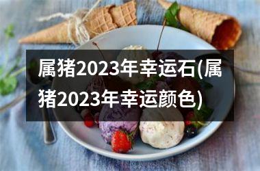 属猪2023年幸运石(属猪2023年幸运颜色)