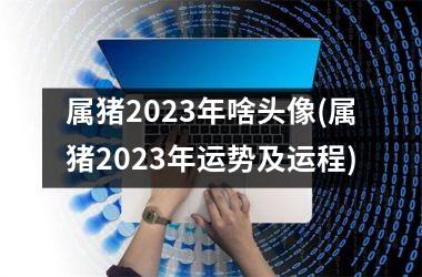 属猪2023年啥头像(属猪2023年运势及运程)