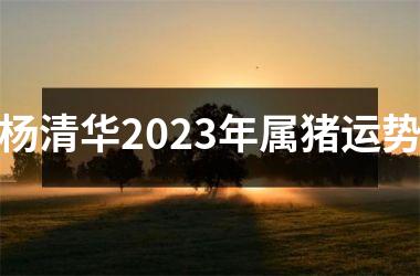 杨清华2023年属猪运势