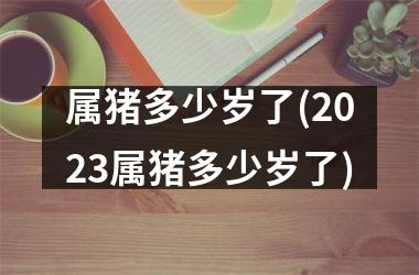 属猪多少岁了(2025属猪多少岁了)