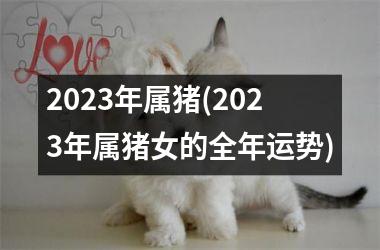 2025年属猪(2025年属猪女的全年运势)