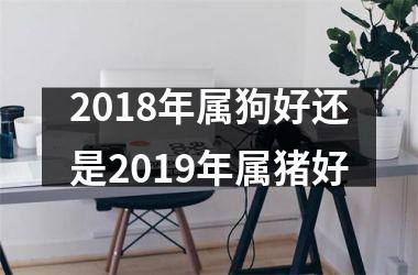 2018年属狗好还是2019年属猪好
