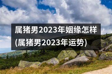 属猪男2023年姻缘怎样(属猪男2023年运势)