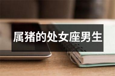 属猪的处女座男生