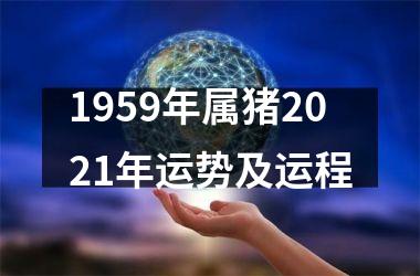 1959年属猪2021年运势及运程