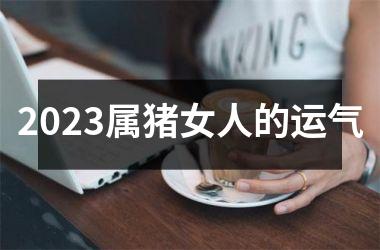 2025属猪女人的运气