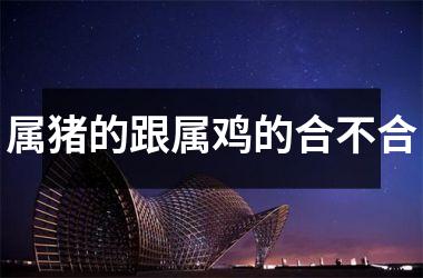 属猪的跟属鸡的合不合