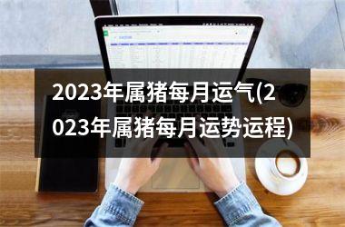 2025年属猪每月运气(2025年属猪每月运势运程)
