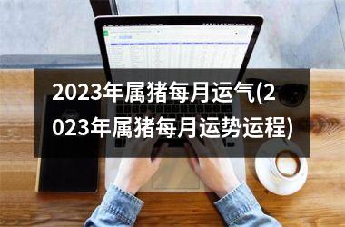 2023年属猪每月运气(2023年属猪每月运势运程)