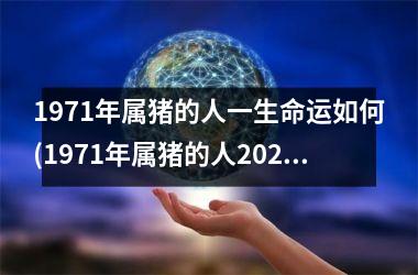 1971年属猪的人一生命运如何(1971年属猪的人2025年的运势及运程)