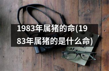 1983年属猪的命(1983年属猪的是什么命)