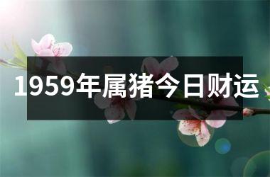 1959年属猪今日财运