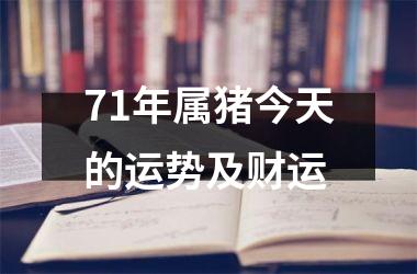 71年属猪今天的运势及财运