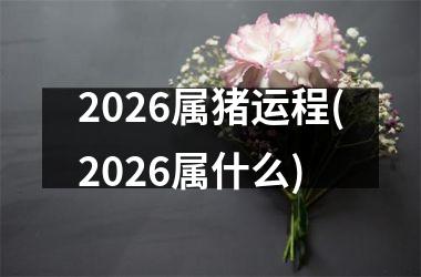 2026属猪运程(2026属什么)