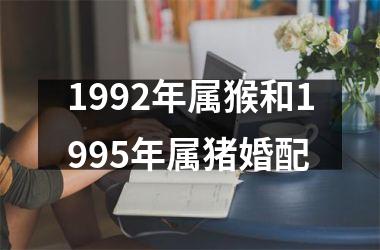 1992年属猴和1995年属猪婚配