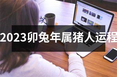 2025卯兔年属猪人运程