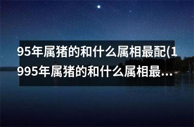 95年属猪的和什么属相最配(1995年属猪的和什么属相最配)