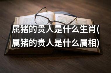 属猪的贵人是什么生肖(属猪的贵人是什么属相)