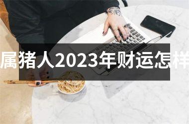 属猪人2025年财运怎样
