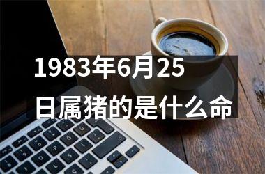 1983年6月25日属猪的是什么命