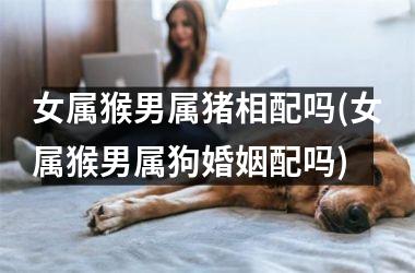 女属猴男属猪相配吗(女属猴男属狗婚姻配吗)