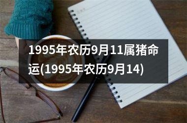 1995年农历9月11属猪命运(1995年农历9月14)