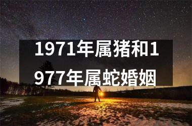 <h3>1971年属猪和1977年属蛇婚姻