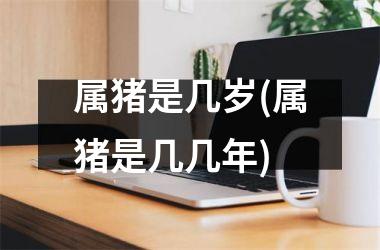 属猪是几岁(属猪是几几年)