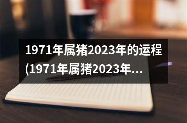 1971年属猪2025年的运程(1971年属猪2025年运程)