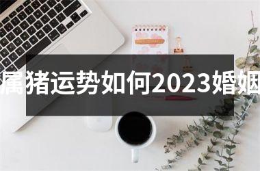 属猪运势如何2025婚姻