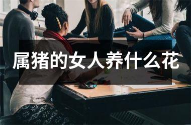 属猪的女人养什么花