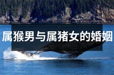 属猴男与属猪女的婚姻