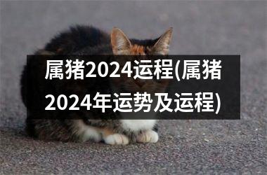 属猪2024运程(属猪2024年运势及运程)