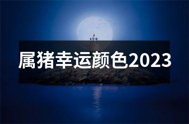 属猪幸运颜色2023