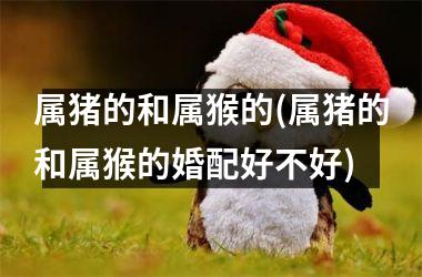 属猪的和属猴的(属猪的和属猴的婚配好不好)