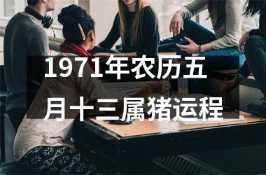 1971年农历五月十三属猪运程