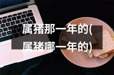 属猪那一年的(属猪哪一年的)