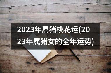 2025年属猪桃花运(2025年属猪女的全年运势)