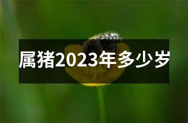 属猪2025年多少岁