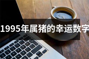 <h3>1995年属猪的幸运数字