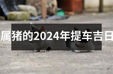 属猪的2024年提车吉日