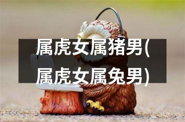 属虎女属猪男(属虎女属兔男)