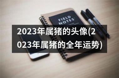 2023年属猪的头像(2023年属猪的全年运势)