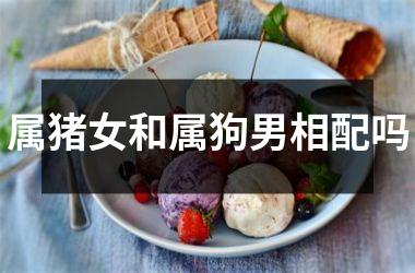 属猪女和属狗男相配吗