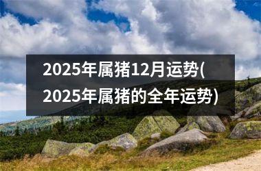 2025年属猪12月运势(2025年属猪的全年运势)