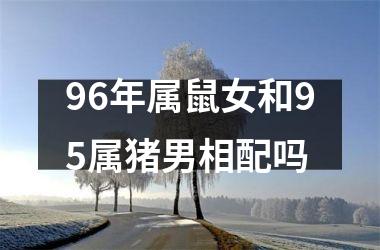 96年属鼠女和95属猪男相配吗