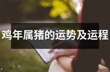 鸡年属猪的运势及运程