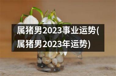 属猪男2025事业运势(属猪男2025年运势)