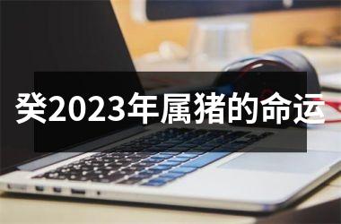 癸2025年属猪的命运