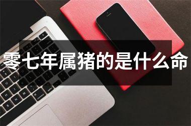 零七年属猪的是什么命